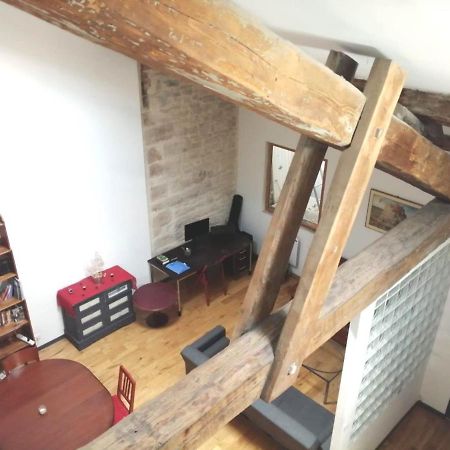 Loft Viarhona, Grand Loft En Centre-Ville 里昂 外观 照片