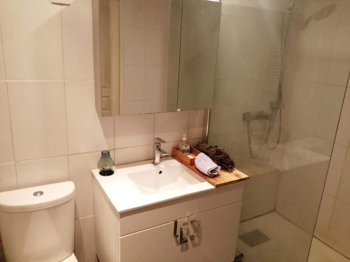 Loft Viarhona, Grand Loft En Centre-Ville 里昂 外观 照片