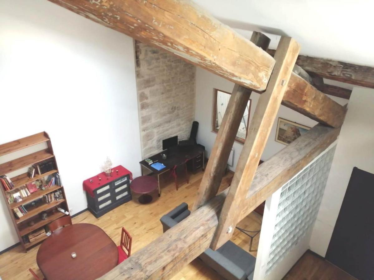 Loft Viarhona, Grand Loft En Centre-Ville 里昂 外观 照片