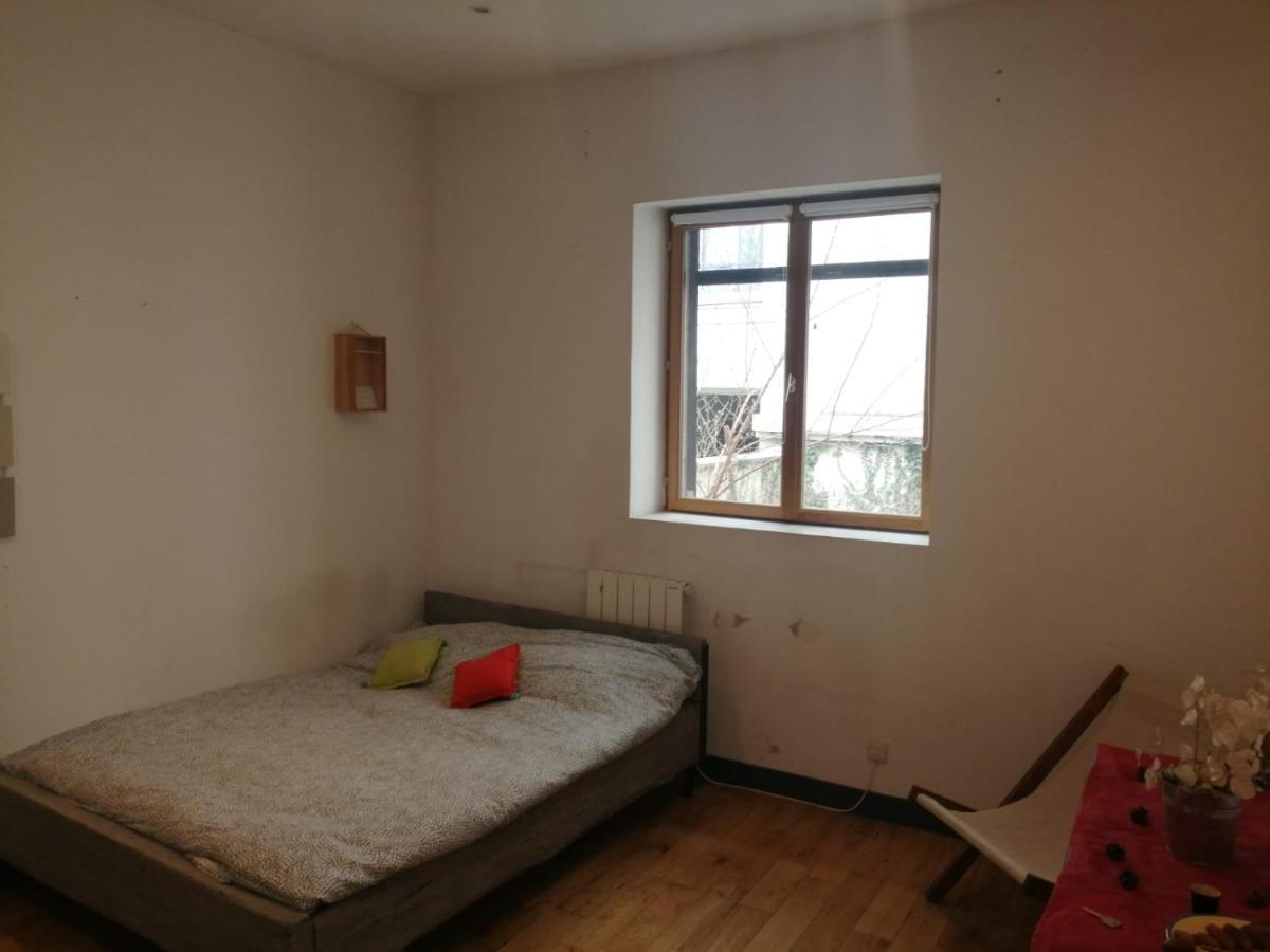 Loft Viarhona, Grand Loft En Centre-Ville 里昂 外观 照片