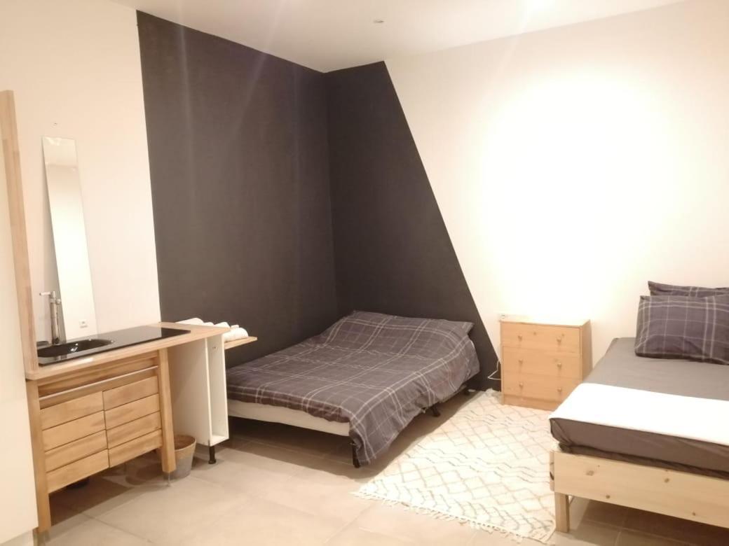 Loft Viarhona, Grand Loft En Centre-Ville 里昂 外观 照片