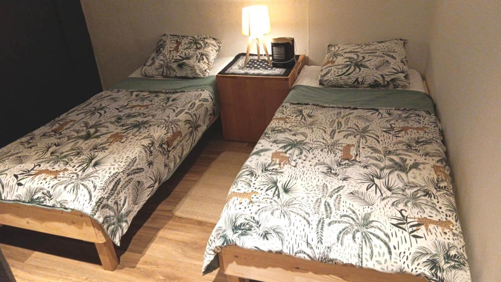 Loft Viarhona, Grand Loft En Centre-Ville 里昂 外观 照片